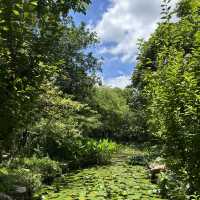 Shenzhen Fairy Lake Botanical Gardens!