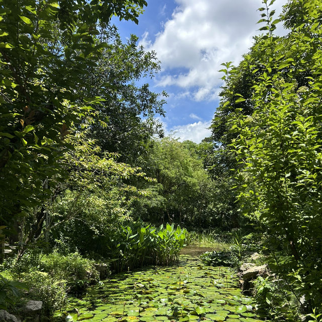 Shenzhen Fairy Lake Botanical Gardens!