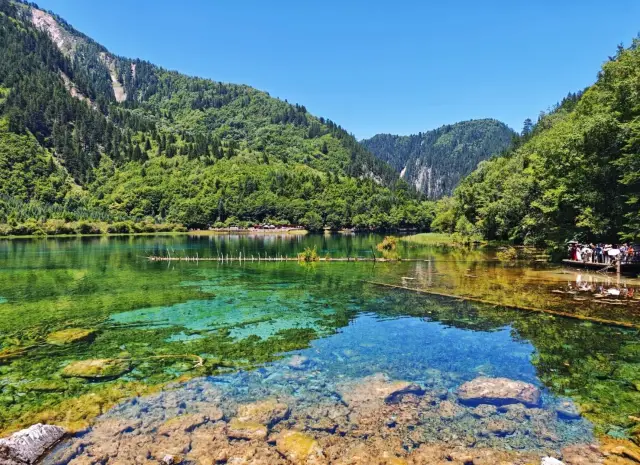 成都东站到九寨沟一日游极速版攻略