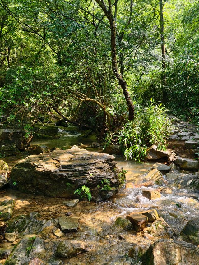 寧波秘境虹嶺古道·綠野仙蹤般的溯溪天堂