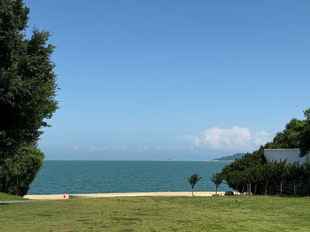 椰林海景絕美視角