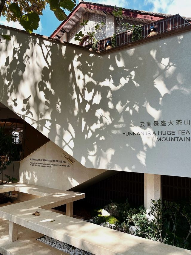 Holiday Inn Kunming City Centre | Summer City Walk Check-in Guide