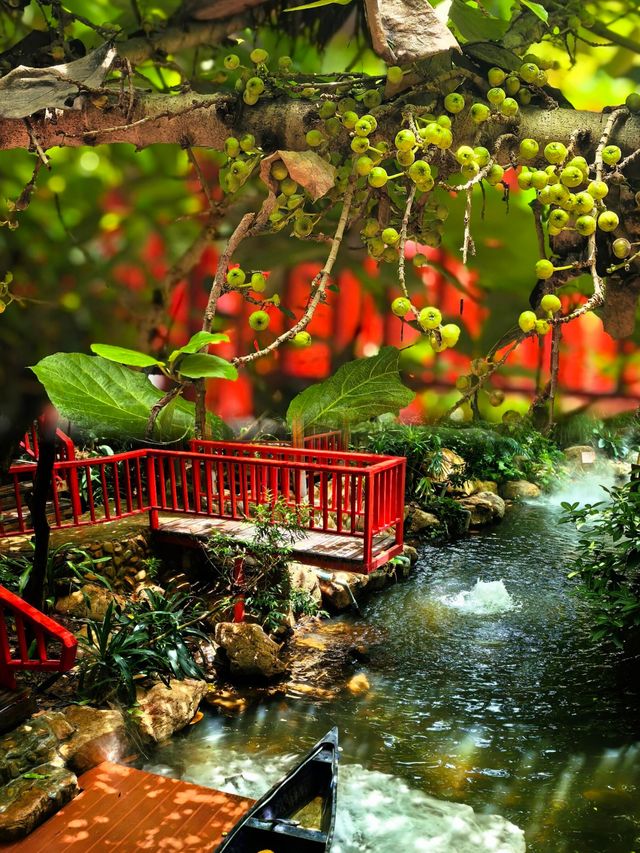 2025南昆山國家森林公園全攻略 | 避暑吸氧漂流溫泉一站式