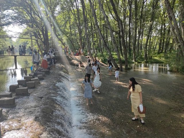 夏日消暑指南 | 黃山米瀾酒店+玩水攻略