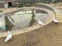 江浙滬小眾親子遊 | 隱龍谷君瀾，承包山頭的遛娃天堂！