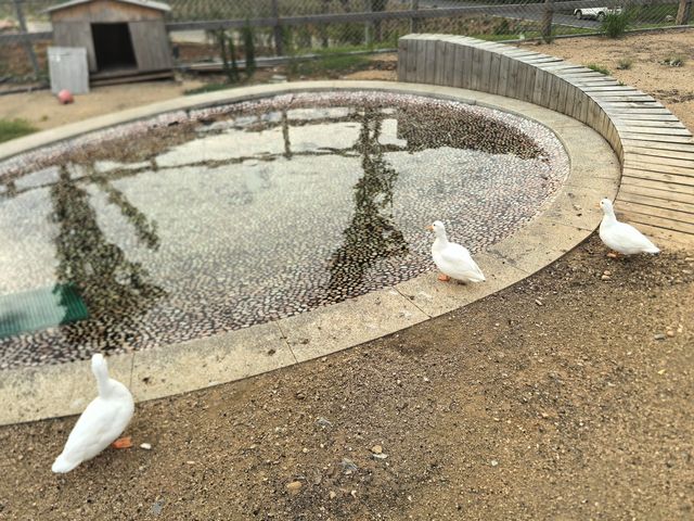 江浙滬小眾親子遊 | 隱龍谷君瀾，承包山頭的遛娃天堂！