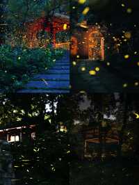 南京夏夜『爆燈』啦！7-8月限定螢火蟲雨，錯過要等一年！