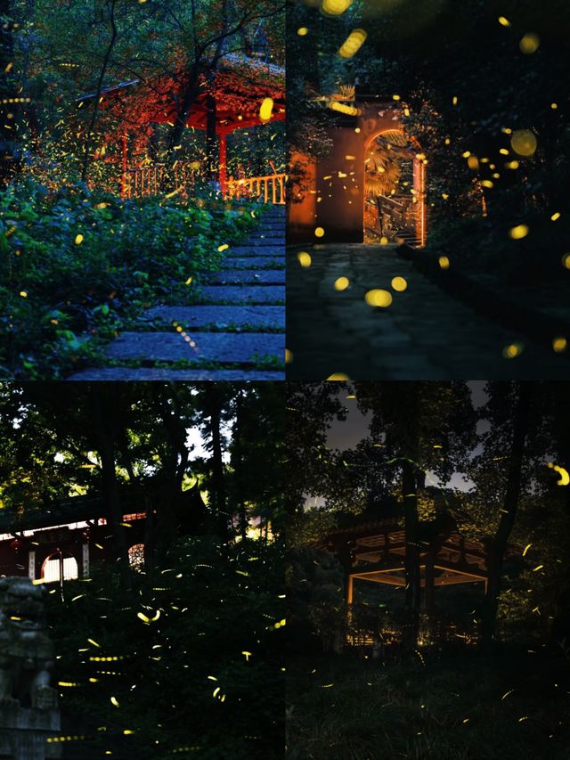 南京夏夜『爆燈』啦！7-8月限定螢火蟲雨，錯過要等一年！