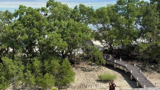 A Dive Into Bunaken Oasis