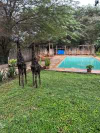 Unforgettable Stay at Olerai Lodge