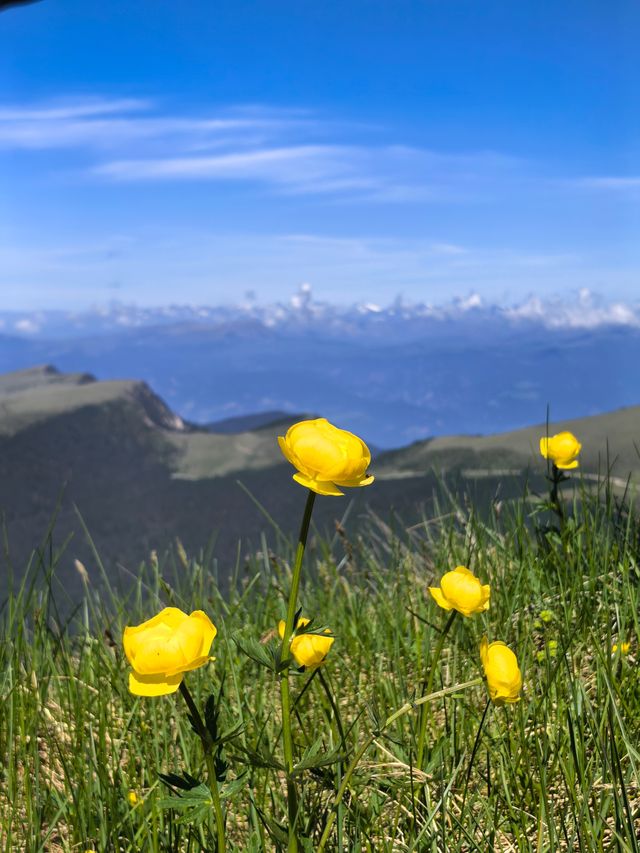 多洛米蒂山