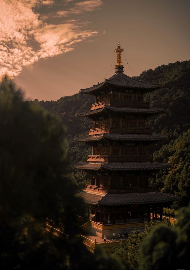 週末太山好去處