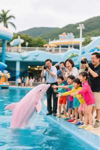 探索奇妙海洋世界，香港海洋公園帶你暢遊夢幻之旅！