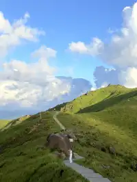 寧德柘榮鴛鴦草場。