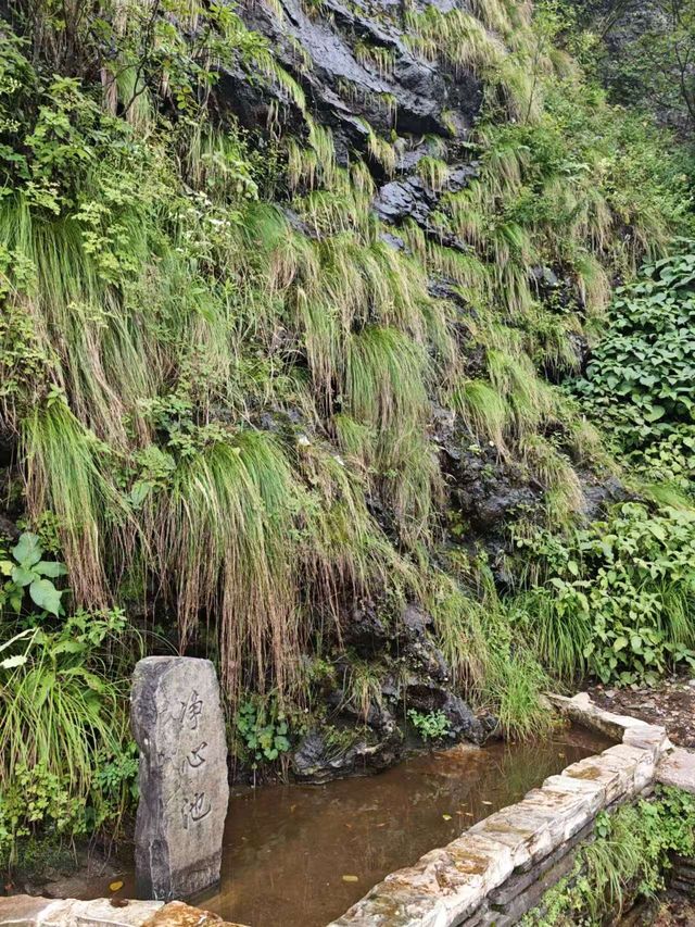 贵州梵净山一日遊——西上東下全程徒步路線