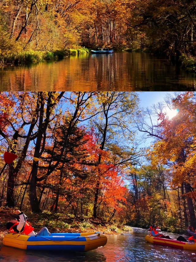 國慶去長白山，比日本紅葉更震撼，人少景美！