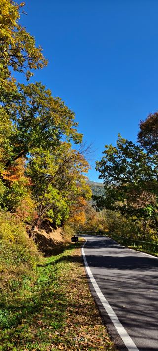 The Colors of Autumn in Northeast China