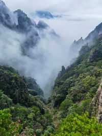 團結松，雨傘松，大王松皆迎客松