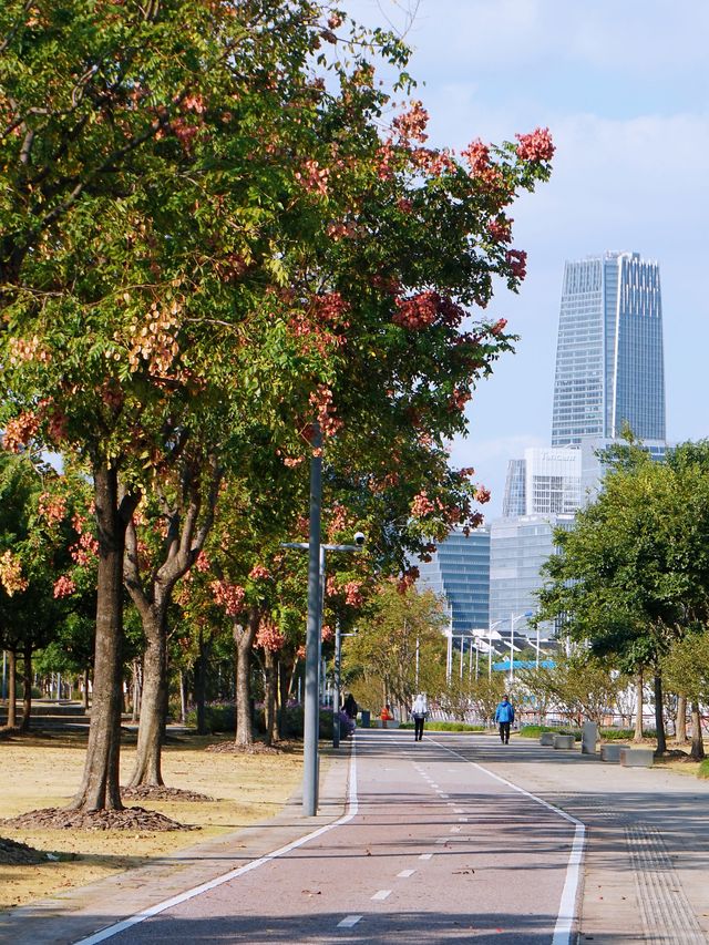 西岸夢中心·南面有鄰居｜徐匯濱江南段-2
