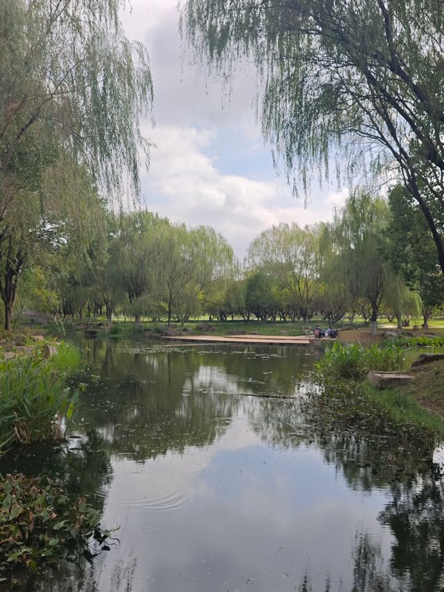 在嘉興植物園,與一場不期而遇的寧靜相逢! 在嘉興植物園,與一場不期而遇的寧靜相逢!