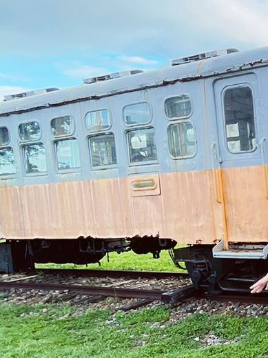🚉 Taitung Old Railway Platform: A Journey into Taiwan's Rustic Soul! 🌾