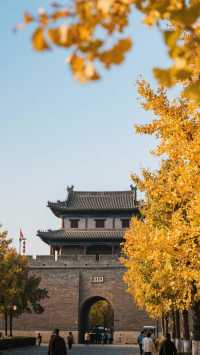 金秋十月，適合家庭旅遊的地方！