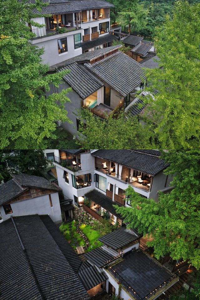 山凹凹裡的神仙民宿！睡進森林裡，連呼吸都在治癒