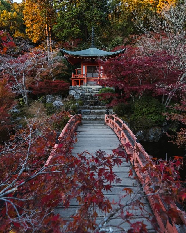 日本賞楓季全攻略一鍵get絕美紅葉觀賞期! 日本賞楓季全攻略一鍵get絕美紅葉觀賞期!