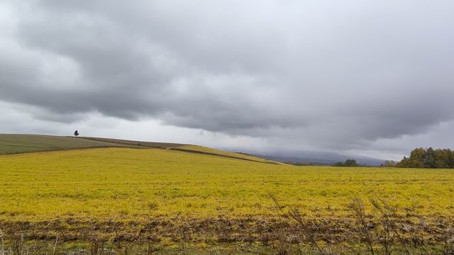 北海道絕美打卡路線！陰雨天也能玩出浪漫~