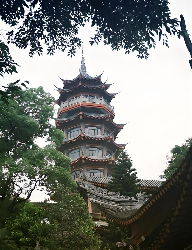 重慶華巖寺攻略｜0元解鎖禪意慢生活