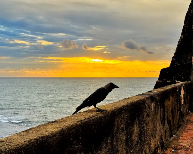 加勒古堡city walk到夕陽無限好