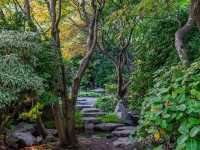 Solo in a Hidden Vancouver Gem: The Momiji Garden at Hastings Park