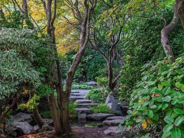 Solo in a Hidden Vancouver Gem: The Momiji Garden at Hastings Park