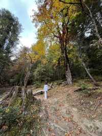 天堂在左雨崩在右住雨崩高品質觀景酒店