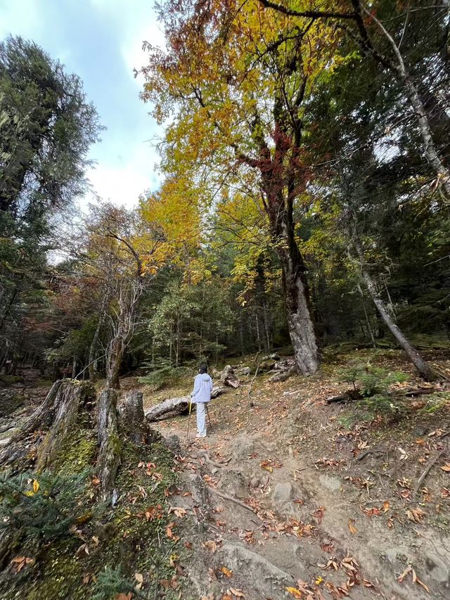 天堂在左雨崩在右住雨崩高品質觀景酒店