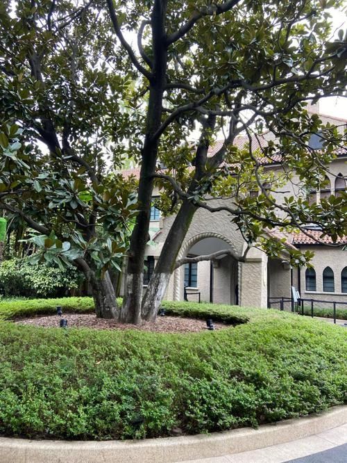 探訪孫科別墅 探訪孫科別墅