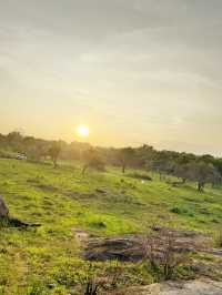 「斯里蘭卡：你從未見過的島嶼奇遇」，免簽國