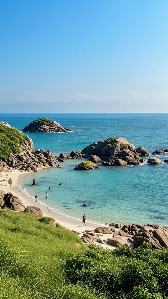 北麂島避世全攻略 北麂島避世全攻略