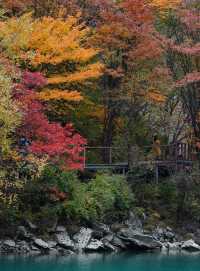 龍上小九寨-遮陽山