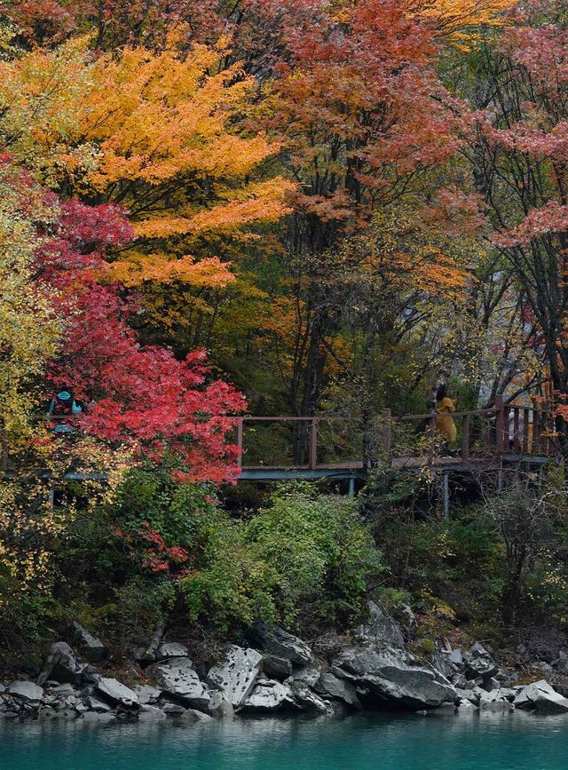 龍上小九寨-遮陽山 龍上小九寨-遮陽山