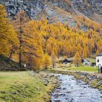 🌫️ 안개 낀 알프스의 숨겨진 보석, 알페 데베로