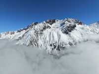 叢林界的一鯨落萬物生~