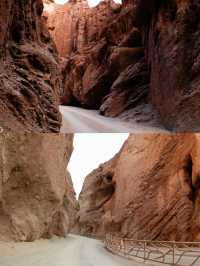 新疆胡楊林最佳觀賞攻略金色秘境&自駕避坑指南