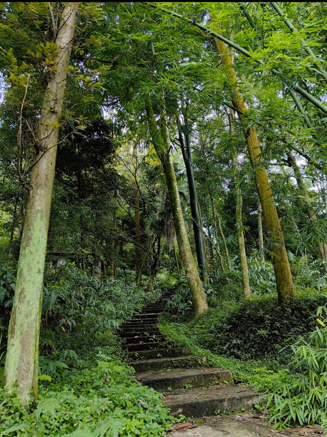峨眉山風景名勝區