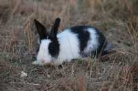 那拉提浪漫民宿指南奢境民俗小木屋體驗