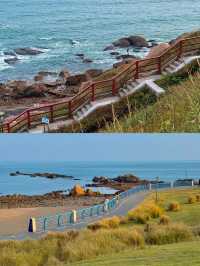 青島3日漫遊攻略!淡季避坑+免費出片路線直接抄