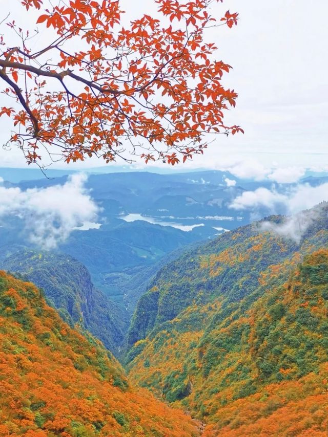 瓦屋山秋冬逃票攻略！免費期衝啊 