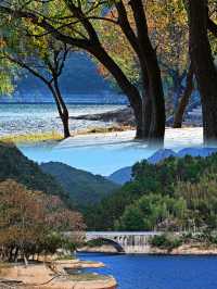 一開車門美到失語衢州這個秋日秘境原地封神