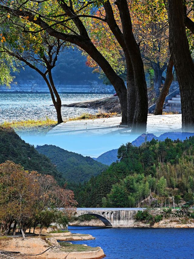 一開車門美到失語衢州這個秋日秘境原地封神