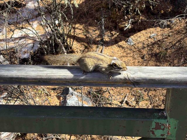 稻城亞丁絕美星空